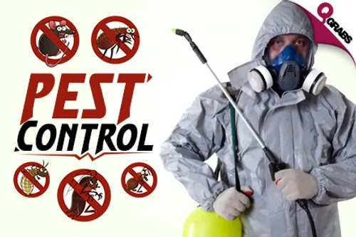 From QR125 Rid your Home of Insects with Pest Control OR Bedbug Treatment OR Steam Treatment! (Up to QR800 Value)